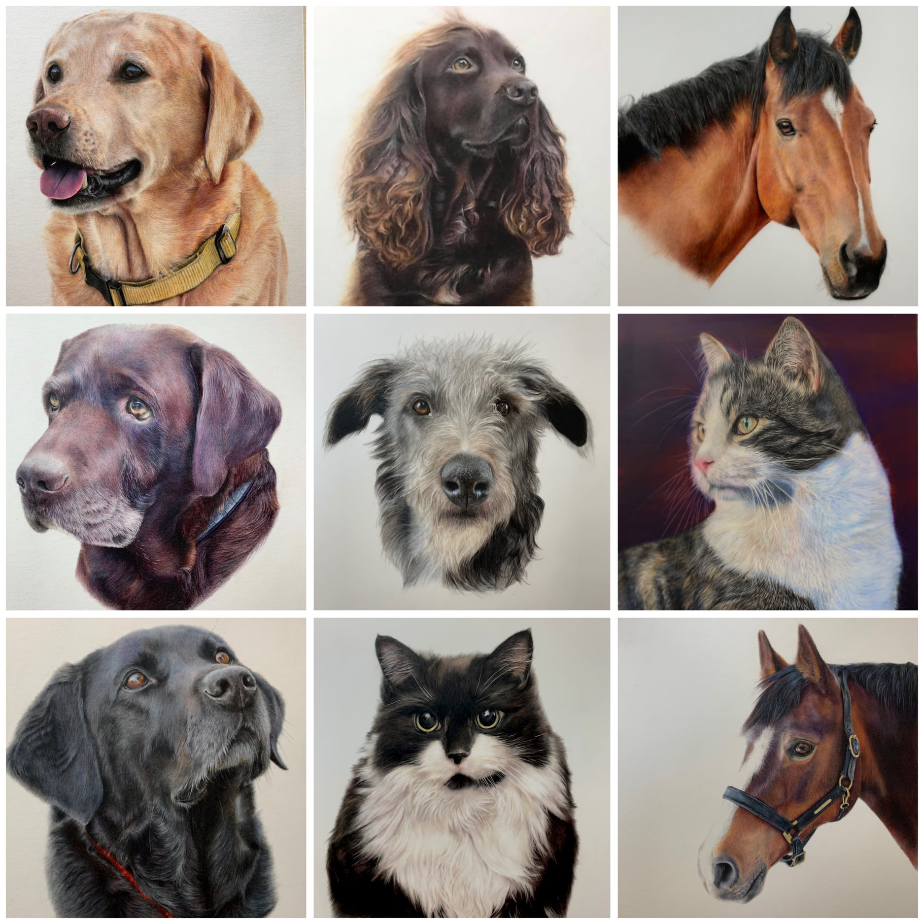Commissioned Pet Portraits
